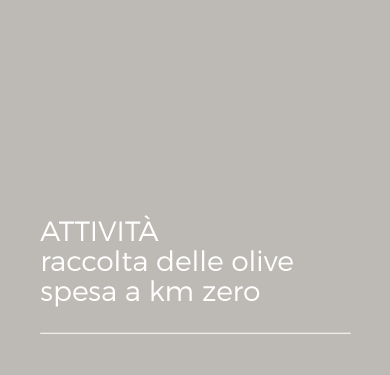 ATTIVITA' - raccolta delle olive - spesa a km zero