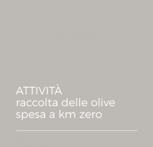 ATTIVITA' - raccolta delle olive - spesa a km zero